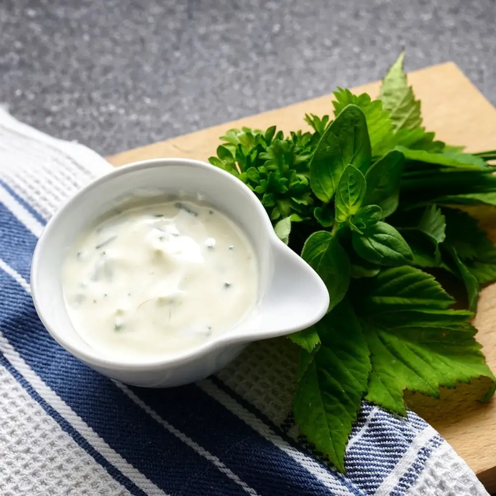 Alfredo Sauce Recipe: Creamy sauce drizzled, with a sprinkle of Parmesan cheese and fresh herbs.